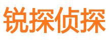 新都市私家侦探